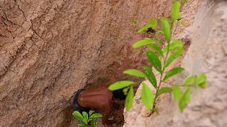 疯狂原始人带你荒野求生