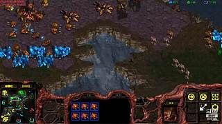 暴风虫族Ameba教你玩转星际争霸I