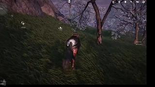 星梦49的直播间