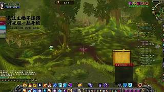 萨满图腾插错位置！buff 加给敌方