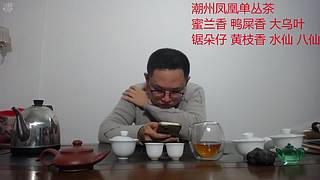 潮州凤凰单丛茶