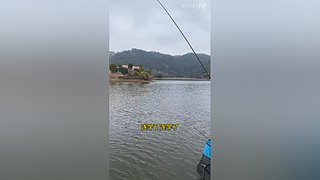 亮gnailux的直播间