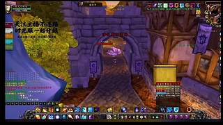 萨满图腾插错位置！buff 加给敌方