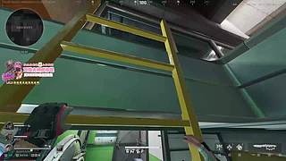 晚上好兄弟萌 12270287