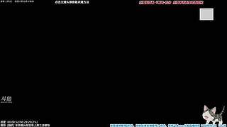 懒猫 美食家 点播