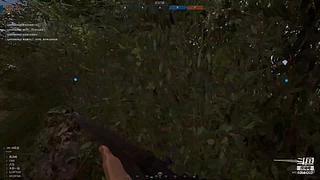 随意播，在于娱乐。