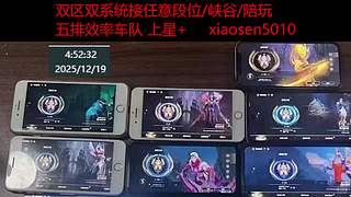 专业团队帮打 极速上分