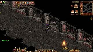 队长老鼠老实等在晚上