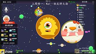 【天花板免费教技术！！！】