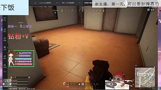 新人，第一天！