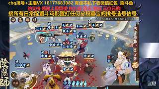 挑号估号斗鸡日常全面配置