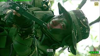 【贝贝】今日4倍亲密度~升级下牌子呗~