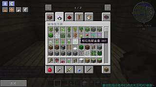 我的世界-艾尔 世界之窗泰姬陵