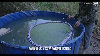 娱乐大于一切 10440627