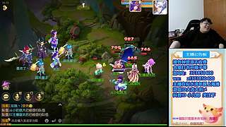 梦幻西游手游~，221869~~