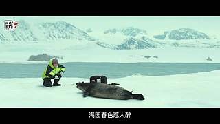 感谢大家的支持 7495810