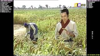 【经典剧场】经典武侠 动作 老剧你懂的