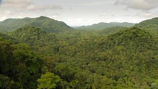 [大自然纪录片]24小时轮播