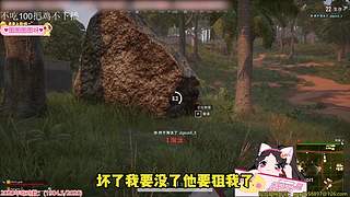 录完音啦，正常开播