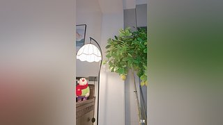 新人第一天&nbsp; 12236226