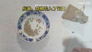 喜欢我的视频或想和我玩，请关注，打赏我哟