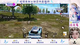 我来挨揍了 11050350