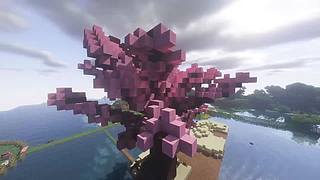 【轮播】软萌喵酱在线挨打