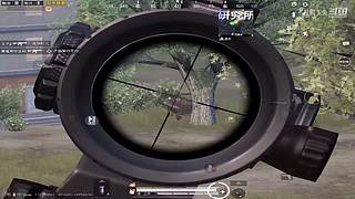 月殿玉兔直播间