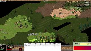 罗马复兴色军的直播间