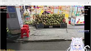 温柔可爱小宝 ovo