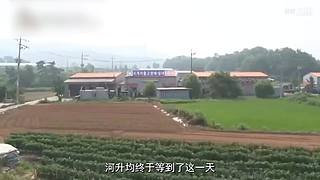 搜集世界上悉奇的案件和恐怖故事