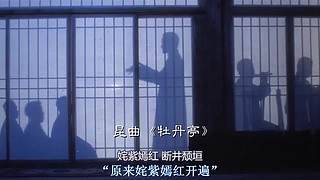 带您走进博然的电影世界