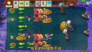 宝子们，开席了！