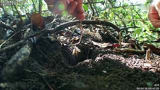 贝爷纪录片 点播，点播单，在鱼吧置顶！