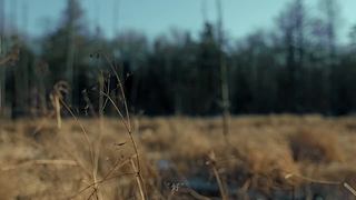 《新剑侠情缘》天下会武