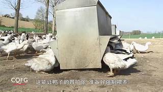 荒野求生，带大家体验不一样的生活