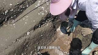 渔妹带你来赶海，来看有没有你没见过的