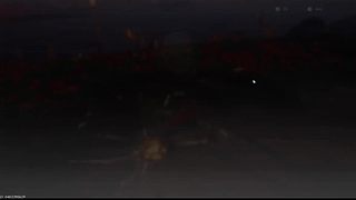 用户9075940223的直播间