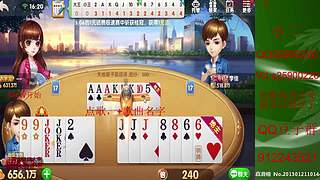 七雀七雀我来了