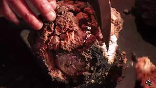 来来嗨嗨嗨
来来来