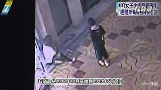 《探奇录-案件篇》