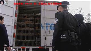 【铁甲人】一起see那些年的经典