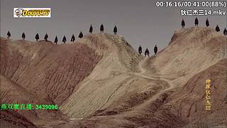 元芳到底看不看