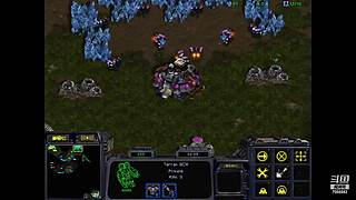 诸葛酒神曲的直播间