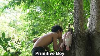 欢乐猴群纪录片