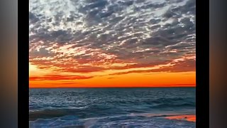 不羡鸳鸯不羡仙啊