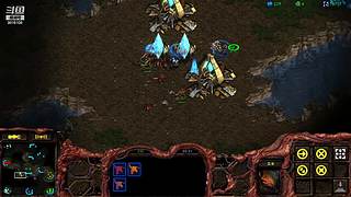 暴风虫族Ameba教你玩转星际争霸I