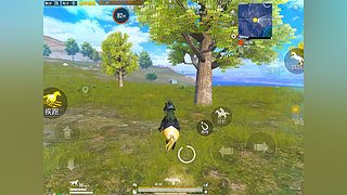 鹏子新人主播来报道