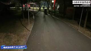 1.5倍乐享值【d11】s9赛季熊掌