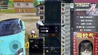 带粉/帮打/超稳晋级赛